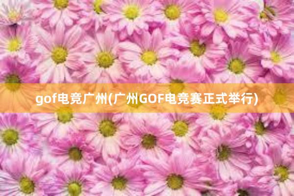 gof电竞广州(广州GOF电竞赛正式举行)