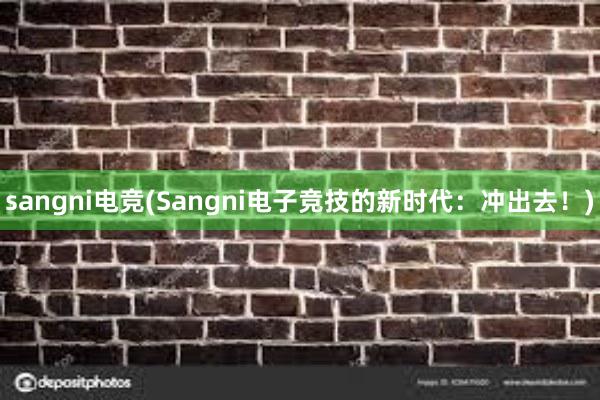 sangni电竞(Sangni电子竞技的新时代：冲出去！)