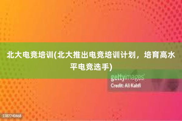 北大电竞培训(北大推出电竞培训计划，培育高水平电竞选手)