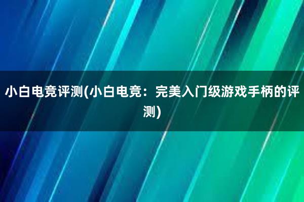 小白电竞评测(小白电竞：完美入门级游戏手柄的评测)