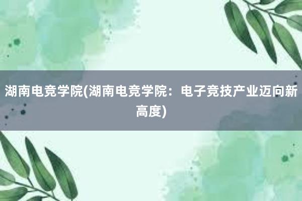 湖南电竞学院(湖南电竞学院：电子竞技产业迈向新高度)