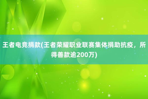 王者电竞捐款(王者荣耀职业联赛集体捐助抗疫，所得善款逾200万)