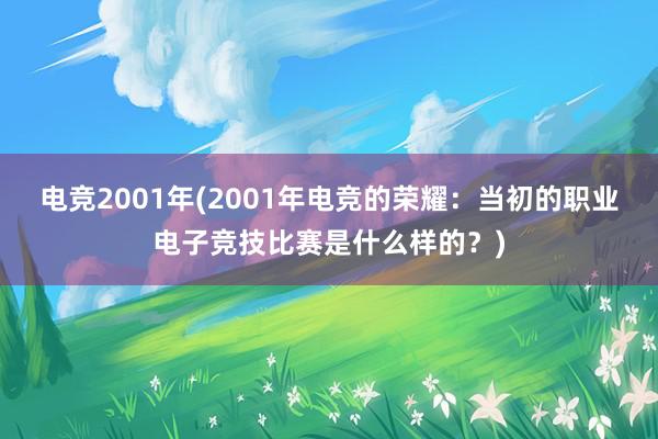 电竞2001年(2001年电竞的荣耀：当初的职业电子竞技比赛是什么样的？)