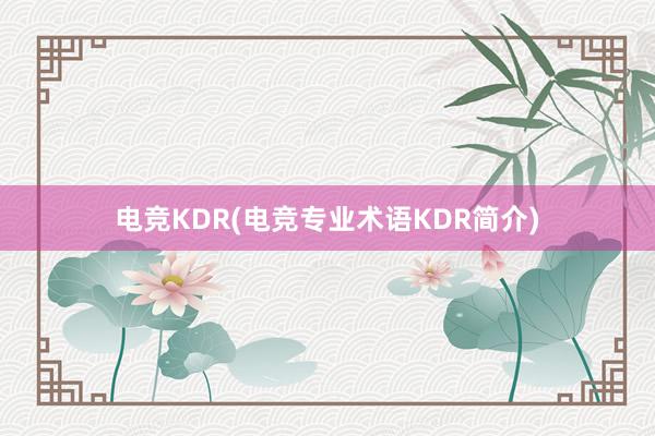 电竞KDR(电竞专业术语KDR简介)