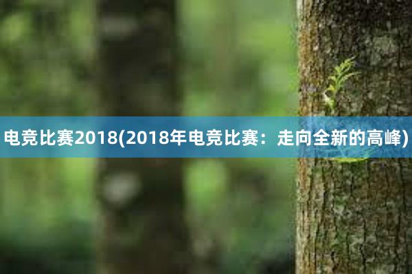 电竞比赛2018(2018年电竞比赛：走向全新的高峰)