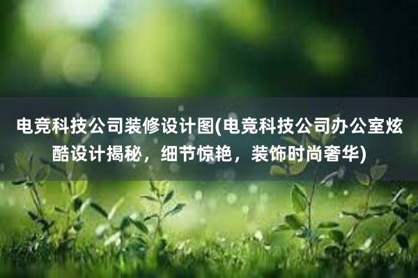 电竞科技公司装修设计图(电竞科技公司办公室炫酷设计揭秘，细节惊艳，装饰时尚奢华)