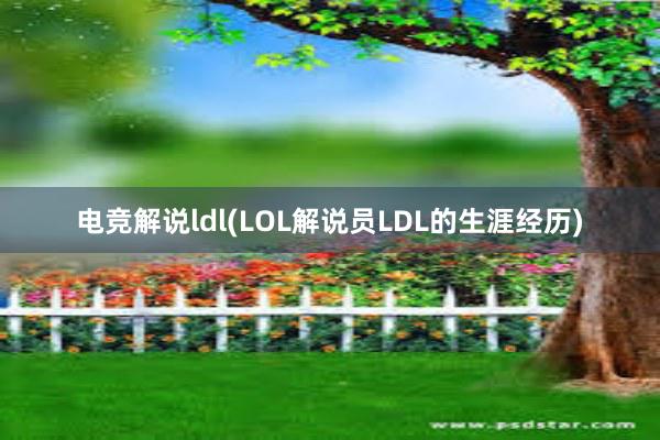 电竞解说ldl(LOL解说员LDL的生涯经历)