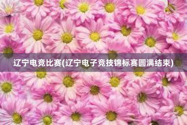 辽宁电竞比赛(辽宁电子竞技锦标赛圆满结束)