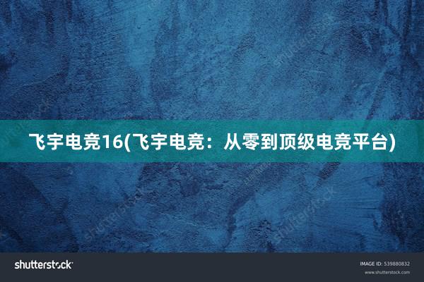 飞宇电竞16(飞宇电竞：从零到顶级电竞平台)