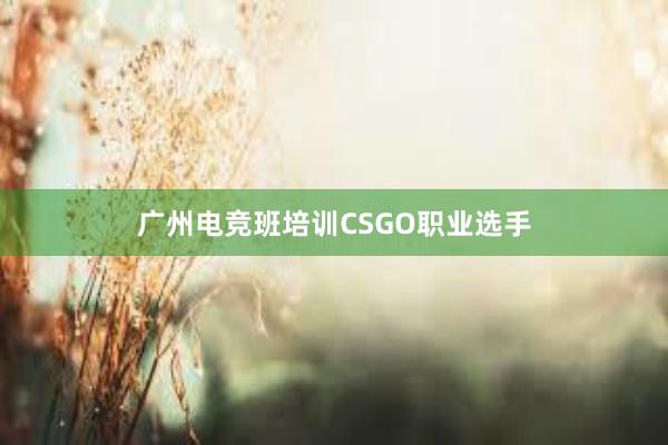 广州电竞班培训CSGO职业选手