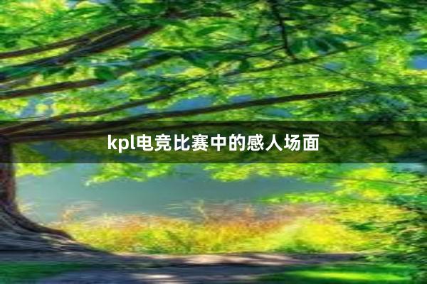 kpl电竞比赛中的感人场面