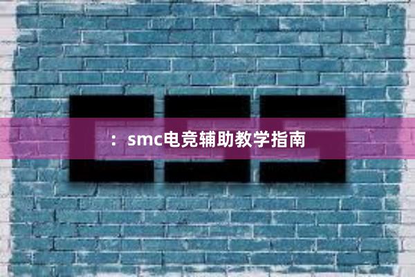 ：smc电竞辅助教学指南