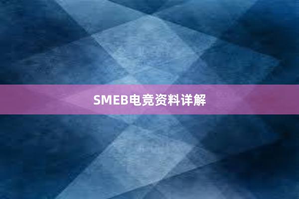 SMEB电竞资料详解