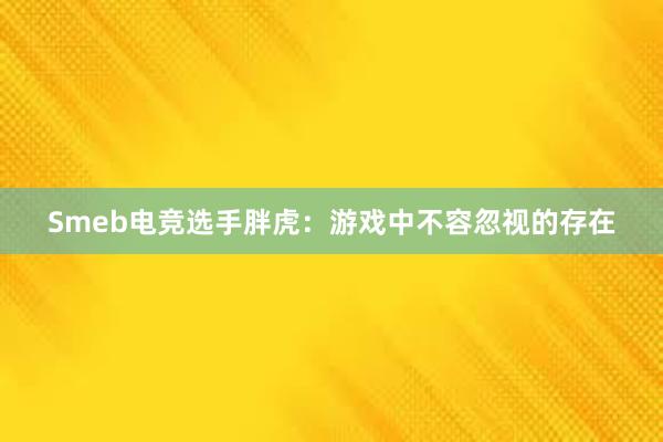 Smeb电竞选手胖虎：游戏中不容忽视的存在