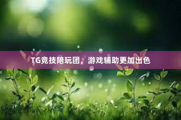 TG竞技陪玩团，游戏辅助更加出色