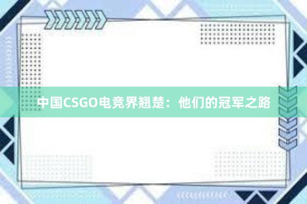 中国CSGO电竞界翘楚：他们的冠军之路