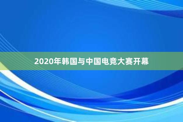 2020年韩国与中国电竞大赛开幕