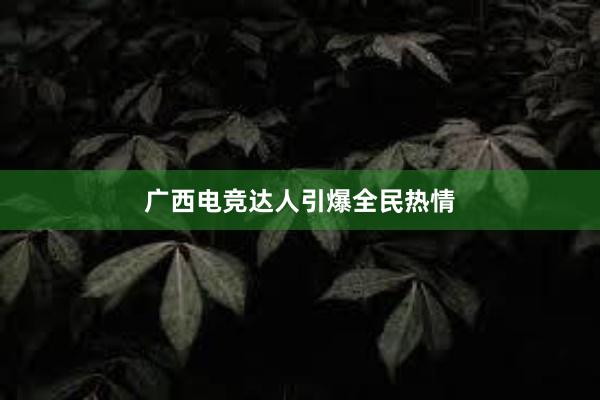 广西电竞达人引爆全民热情