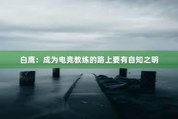 白鹰：成为电竞教练的路上要有自知之明