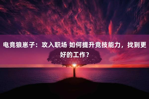 电竞狼崽子：攻入职场 如何提升竞技能力，找到更好的工作？