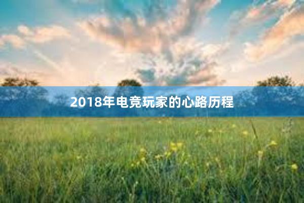 2018年电竞玩家的心路历程