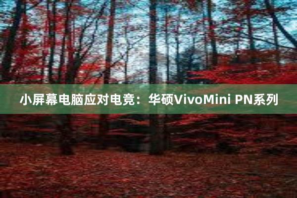 小屏幕电脑应对电竞：华硕VivoMini PN系列