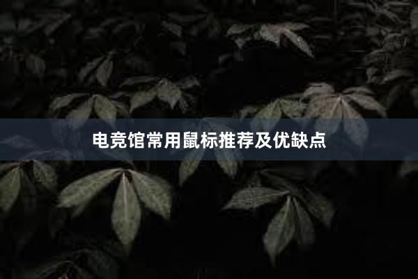 电竞馆常用鼠标推荐及优缺点