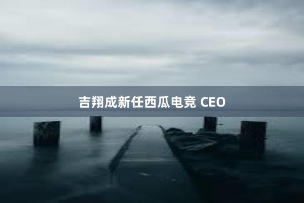 吉翔成新任西瓜电竞 CEO