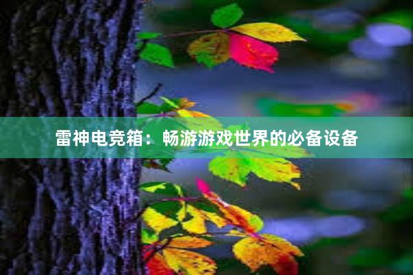 雷神电竞箱：畅游游戏世界的必备设备