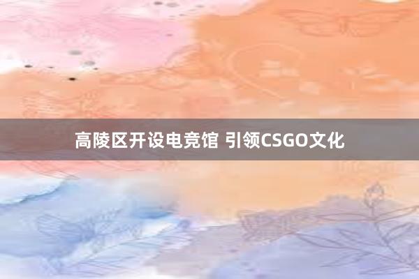 高陵区开设电竞馆 引领CSGO文化