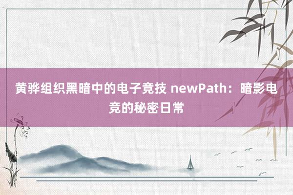 黄骅组织黑暗中的电子竞技 newPath：暗影电竞的秘密日常